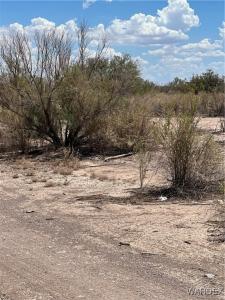 2798 Silver Mesa Drive, Mohave Valley, Arizona 86440