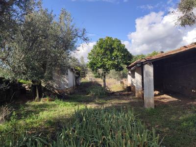 Vila Velha De Ródão, Castelo Branco 6030, Portugal