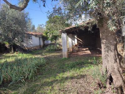 Vila Velha De Ródão, Castelo Branco 6030, Portugal