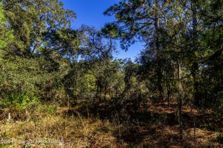 0 Maryland -lot 16 Avenue, Brooksville, فلوريدا 34613, الولايات المتحدة