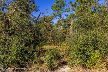 0 Maryland -lot 15 Avenue, Brooksville, فلوريدا 34613, الولايات المتحدة