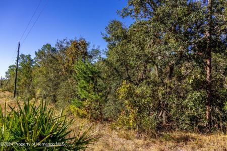 0 Maryland -lot 15 Avenue, Brooksville, فلوريدا 34613, الولايات المتحدة