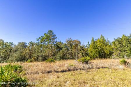 0 Maryland -lot 15 Avenue, Brooksville, فلوريدا 34613, الولايات المتحدة