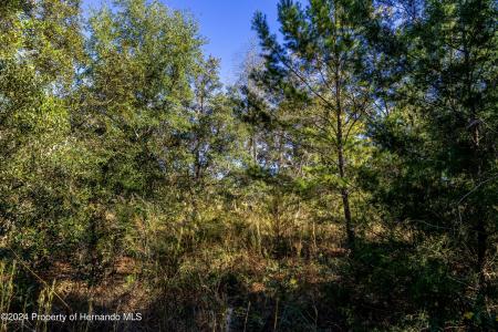 0 Maryland -lot 15 Avenue, Brooksville, فلوريدا 34613, الولايات المتحدة