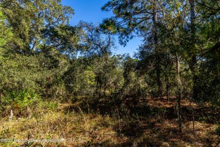 0 Ehrenwald -lot 2 Avenue, Brooksville, فلوريدا 34613, الولايات المتحدة