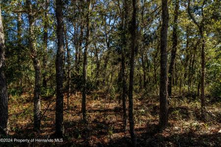 0 Ehrenwald -lot 2 Avenue, Brooksville, فلوريدا 34613, الولايات المتحدة