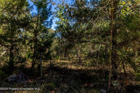 0 Ehrenwald -lot 2 Avenue, Brooksville, فلوريدا 34613, الولايات المتحدة