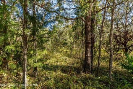 0 Maryland -lot 1 Avenue, Brooksville, Florida 34613, Amerika Birleşik Devletleri