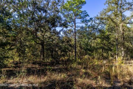 0 Maryland -lot 1 Avenue, Brooksville, Florida 34613, Amerika Birleşik Devletleri