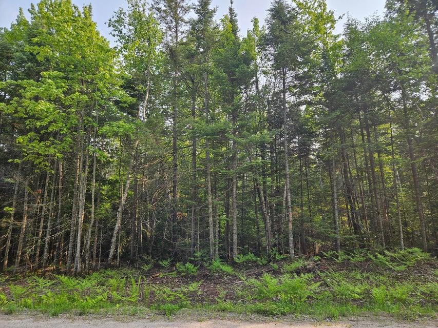 0 Cedar Drive, Sault Ste Marie, 密西根州 49783, 美國