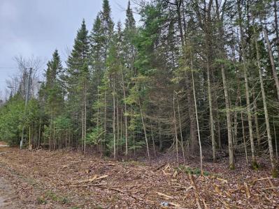0 Cedar Drive, Sault Ste Marie, 密西根州 49783, 美國