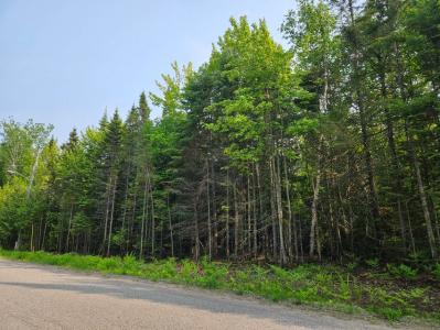 0 Cedar Drive, Sault Ste Marie, 密西根州 49783, 美國