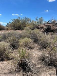 2861 Desert Flora Place, Mohave Valley, Arizona 86440