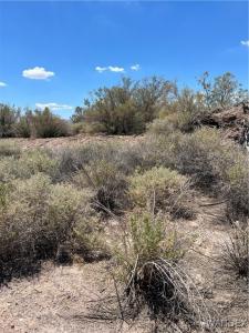 2861 Desert Flora Place, Mohave Valley, Arizona 86440