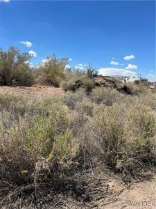2861 Desert Flora Place, Mohave Valley, Arizona 86440