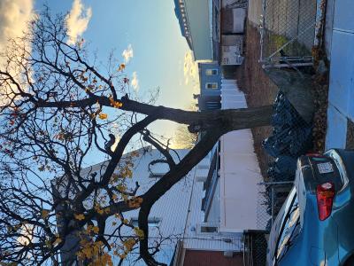 107-24 170 Street, ג'אמייקה , ניו יורק 11433, ארצות הברית של אמריקה 