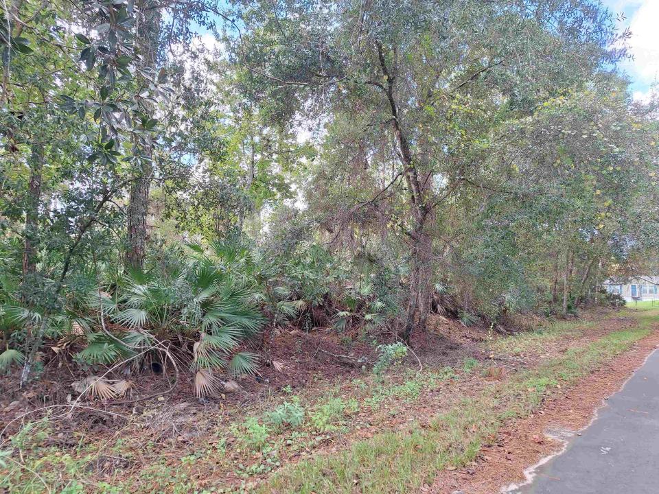 201 Pineway West Avenue, Satsuma, Floride 32189, États-Unis