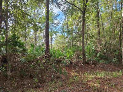 201 Pineway West Avenue, Satsuma, Floride 32189, États-Unis