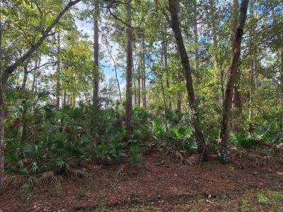 201 Pineway West Avenue, Satsuma, Floride 32189, États-Unis