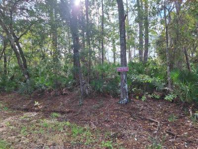 201 Pineway West Avenue, Satsuma, Floride 32189, États-Unis