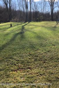 4340 Sleight Road, Bath, Michigan 48808