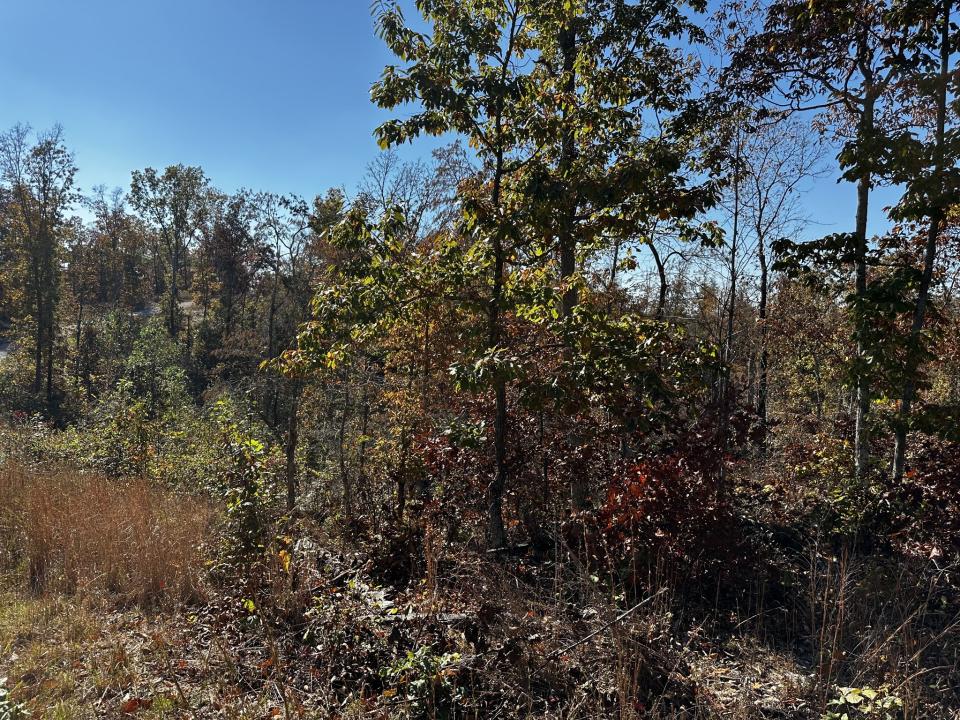 49 Ridge Top Road, Stewart, Tennessee 37175