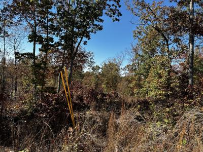 49 Ridge Top Road, Stewart, Tennessee 37175