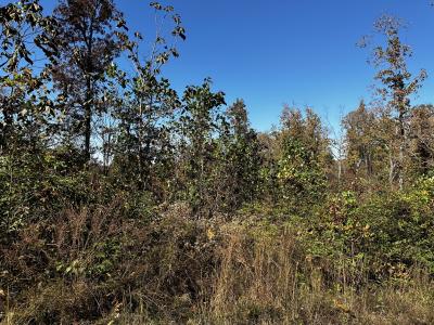 49 Ridge Top Road, Stewart, Tennessee 37175