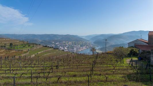 Peso Da Régua, Vila Real 5050-027, Portugal