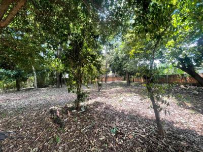 Barrio San Francisco -25.45235040744726, Caaguazú, Caaguazú 3660, Paraguay