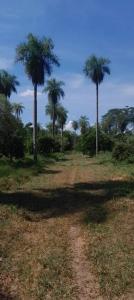 s/direccion , Altos, Cordillera 00001, Paraguay