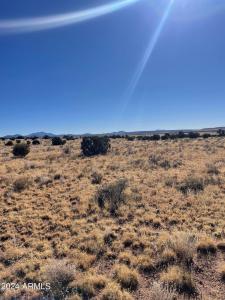 1727 E STANFORD Avenue 101, Williams, Arizona 86046, HOA KỲ
