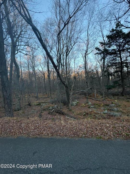 27 Spring Court, Newfoundland, Pennsylvania 16910
