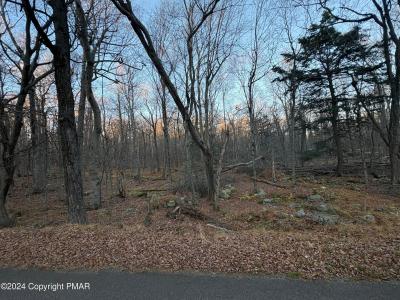 27 Spring Court, Newfoundland, Pennsylvania 16910