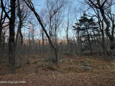 27 Spring Court, Newfoundland, Pennsylvania 16910