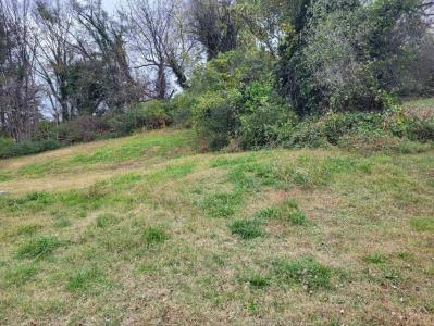 219 Harrison Ave, NW, Roanoke, 弗吉尼亚州 24016, 美国