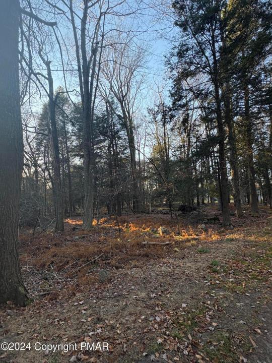 1 Cobblewood Road, Newfoundland, Pennsylvania 18445