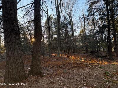 1 Cobblewood Road, Newfoundland, Pennsylvania 18445