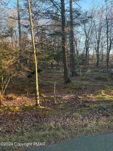 1 Cobblewood Road, Newfoundland, Pennsylvania 18445, USA