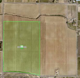 TBD Puterbaugh Rd/forsell Rd, Grandview, Washington 98930, USA