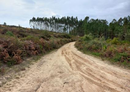 Porto De Mós, Leiria 2480-078, Portugal