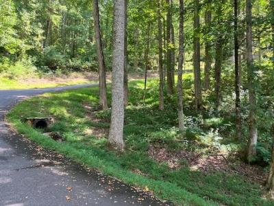 7 Rocky Knob Estates, Young Harris, Джорджия 30582, Соединенные Штаты