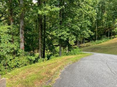 7 Rocky Knob Estates, Young Harris, Джорджия 30582, Соединенные Штаты