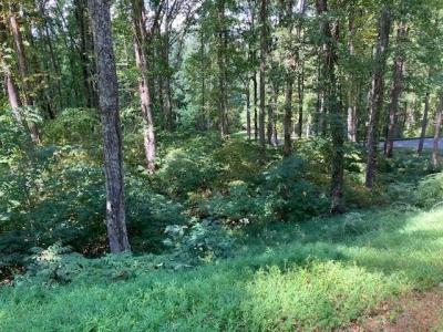 7 Rocky Knob Estates, Young Harris, Джорджия 30582, Соединенные Штаты