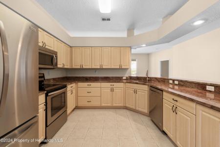 4201 Silver Berry Court, Spring Hill, Florida 34609