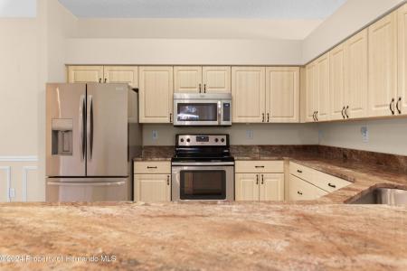 4201 Silver Berry Court, Spring Hill, Florida 34609