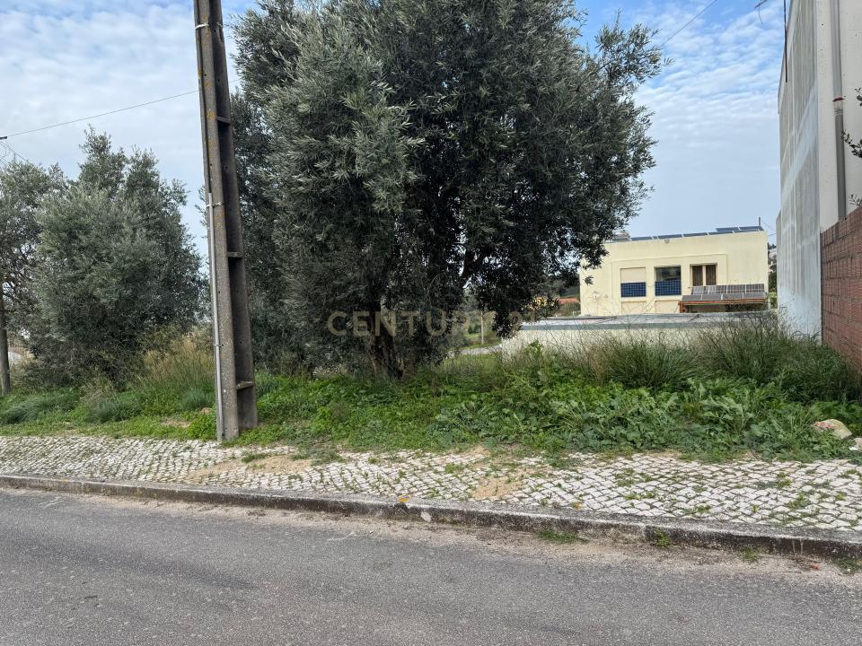 Vila Franca De Xira, Lisbonne 2600-283, Portugal