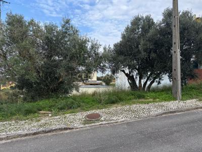 Vila Franca de Xira, Lisbon 2600-283, Portugal