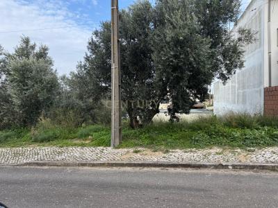 Vila Franca De Xira, Lisbonne 2600-283, Portugal