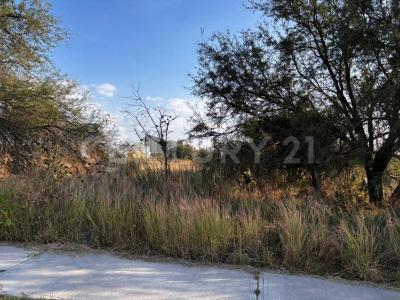 Sendero del nogal S/N,, Huimilpan, ケレタロ 76973, メキシコ